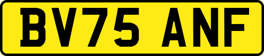 BV75ANF