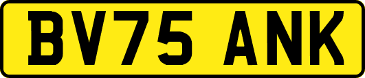 BV75ANK