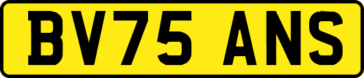 BV75ANS