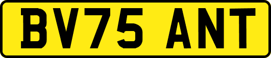 BV75ANT