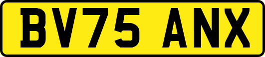 BV75ANX