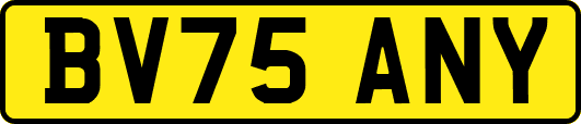 BV75ANY