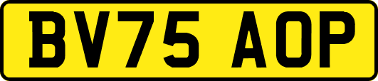 BV75AOP