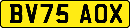 BV75AOX