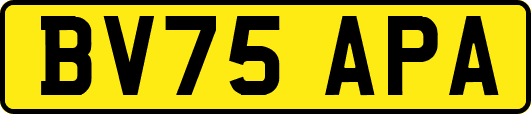 BV75APA