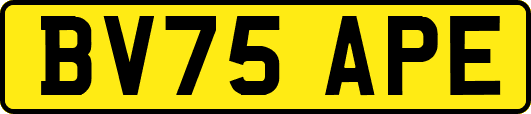 BV75APE