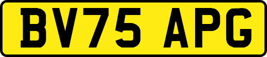 BV75APG