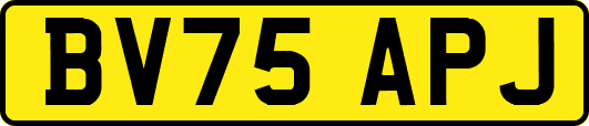 BV75APJ