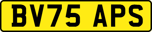 BV75APS