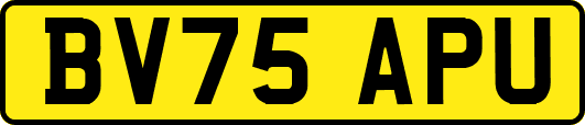 BV75APU