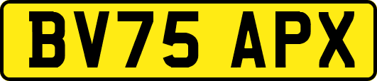 BV75APX