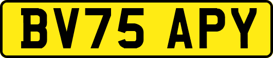 BV75APY
