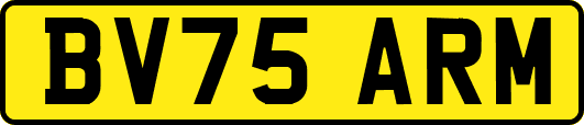 BV75ARM