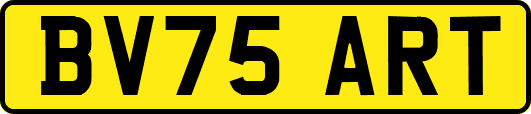 BV75ART