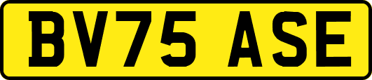 BV75ASE