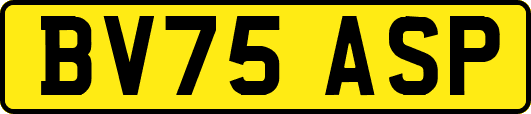 BV75ASP