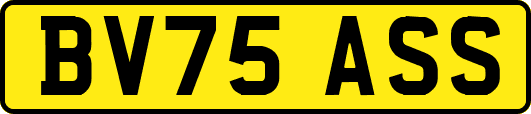 BV75ASS