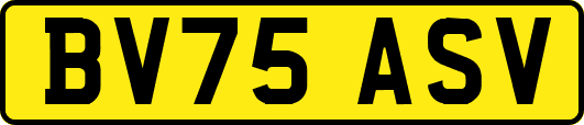 BV75ASV