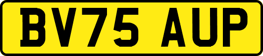 BV75AUP