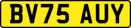 BV75AUY