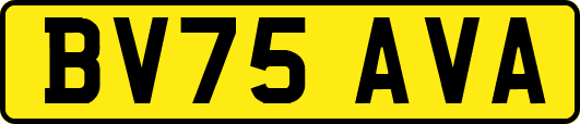 BV75AVA