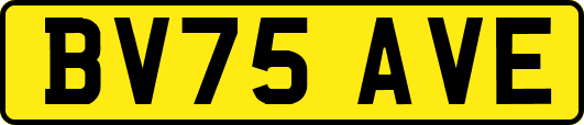 BV75AVE
