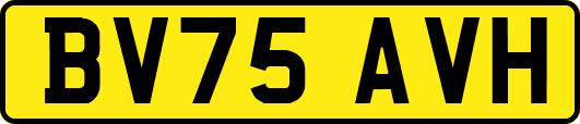 BV75AVH