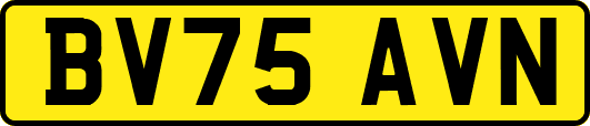BV75AVN