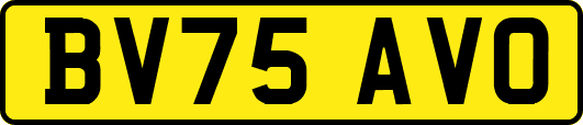 BV75AVO