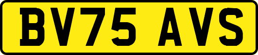 BV75AVS