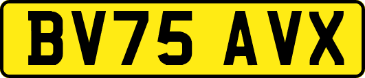 BV75AVX