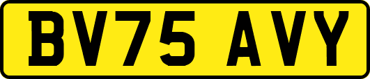 BV75AVY