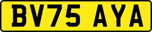 BV75AYA