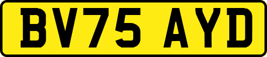 BV75AYD