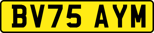 BV75AYM