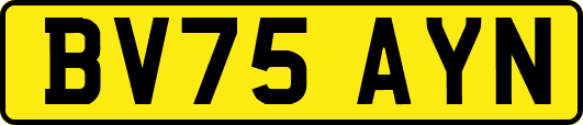 BV75AYN