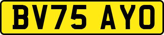 BV75AYO