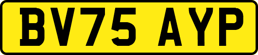 BV75AYP