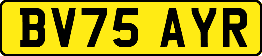 BV75AYR