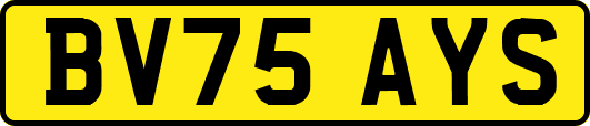 BV75AYS