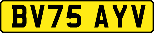 BV75AYV