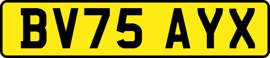 BV75AYX