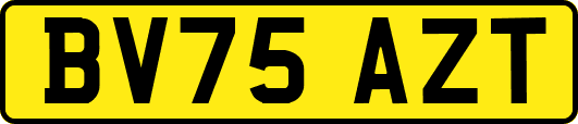 BV75AZT