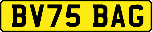 BV75BAG