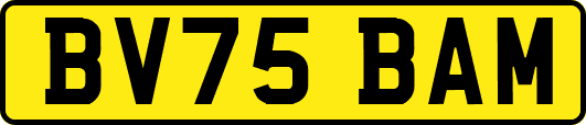 BV75BAM