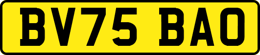 BV75BAO