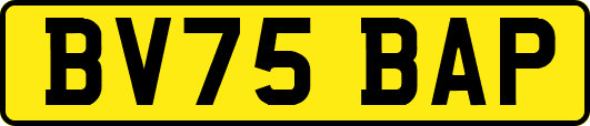 BV75BAP