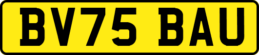 BV75BAU