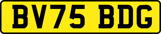 BV75BDG