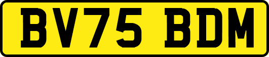BV75BDM
